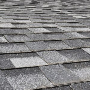Shingle Roof